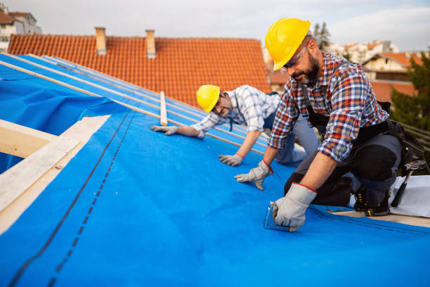 Best Chimney Flashing Repair  in Holiday Valley, OH